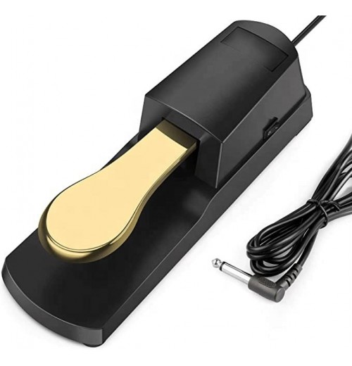 Hot Selling Piano Sustain Pedal Electronic Keyboard Piano Accessories Sustain Effect Pedal